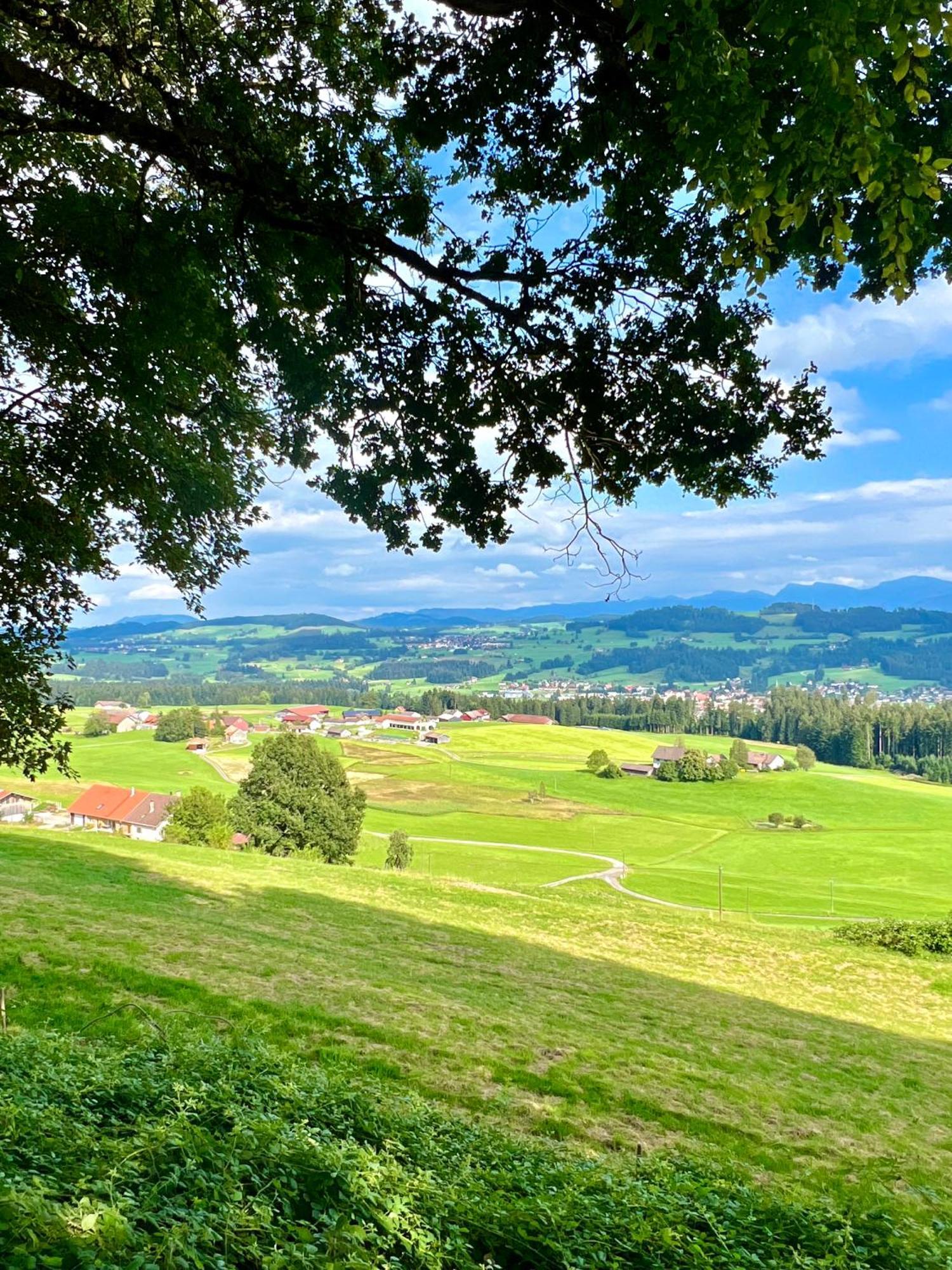 Wolkenfrei Mit Pool Und Sauna Apartment